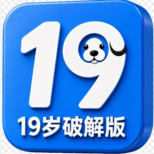 19岁破解版